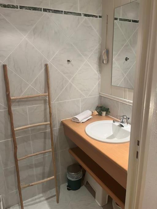 L'Escalier Du Chateau T4 Duplex 9 Couchages 4* アヌシー エクステリア 写真